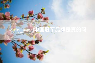 永安中国冠军品牌是真的吗