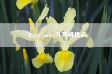 永安九宫格优点
