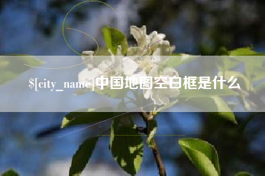 永安中国地图空白框是什么
