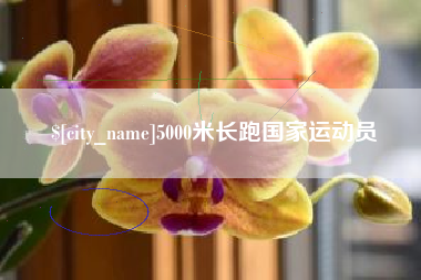 永安5000米长跑国家运动员