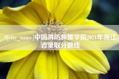 永安中国消防救援学院2021年浙江省录取分数线