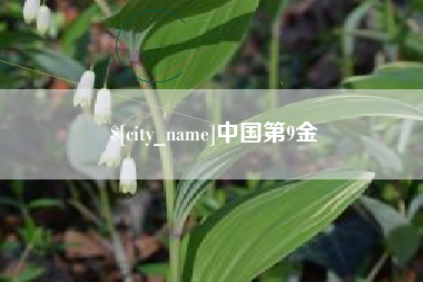 永安中国第9金