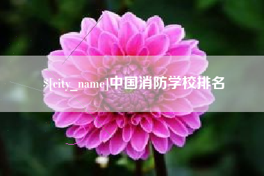 永安中国消防学校排名