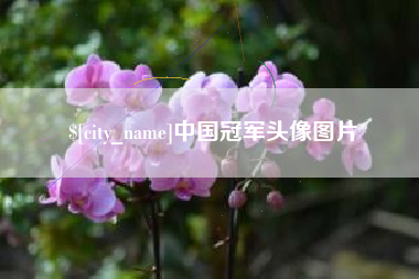 永安中国冠军头像图片