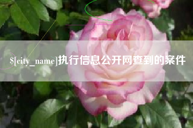 永安执行信息公开网查到的案件