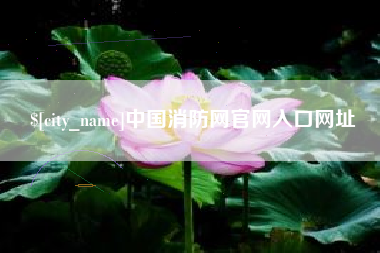 永安中国消防网官网入口网址