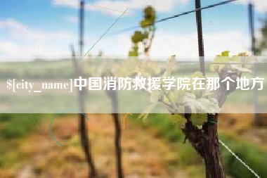 永安中国消防救援学院在那个地方