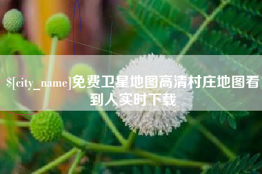 永安免费卫星地图高清村庄地图看到人实时下载