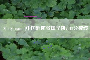 永安中国消防救援学院2018分数线