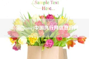 永安中国执行网信息官网