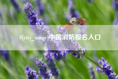永安中国消防报名入口