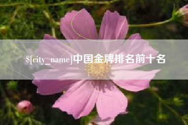 永安中国金牌排名前十名