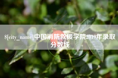 永安中国消防救援学院2019年录取分数线