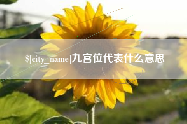永安九宫位代表什么意思