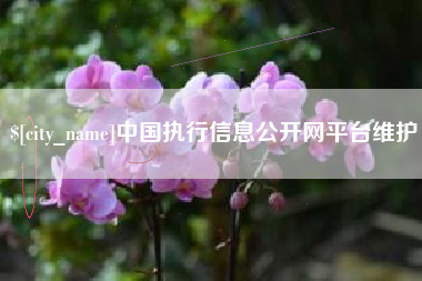 永安中国执行信息公开网平台维护