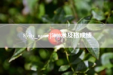 永安5000米及格成绩