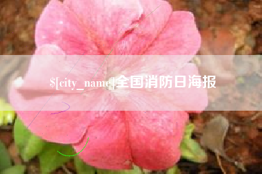 永安全国消防日海报