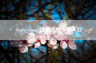 永安国家消防报名入口