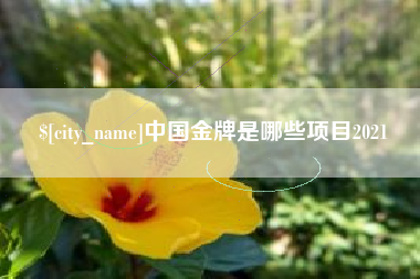永安中国金牌是哪些项目2021