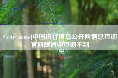 永安中国执行信息公开网信息查询官网限消中查询不到