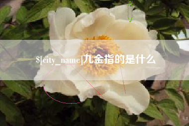 永安九金指的是什么