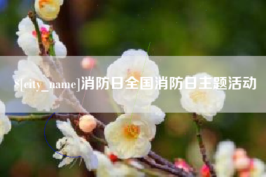 永安消防日全国消防日主题活动