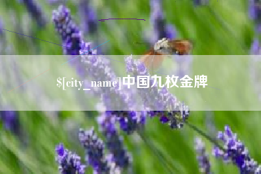 永安中国九枚金牌