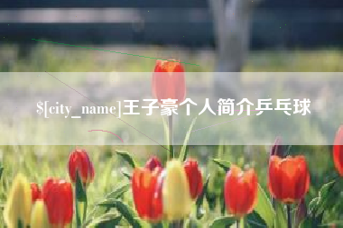 永安王子豪个人简介乒乓球