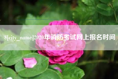 永安2020年消防考试网上报名时间