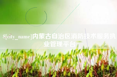 永安内蒙古自治区消防技术服务执业管理平台
