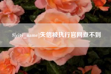 永安失信被执行官网查不到