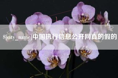 永安中国执行信息公开网真的假的