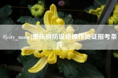 永安重庆消防设施操作员证报考条件