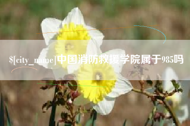 永安中国消防救援学院属于985吗