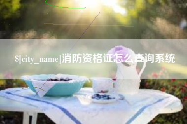 永安消防资格证怎么查询系统