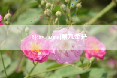 永安第九金是