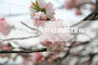 永安11月9日消防日全称
