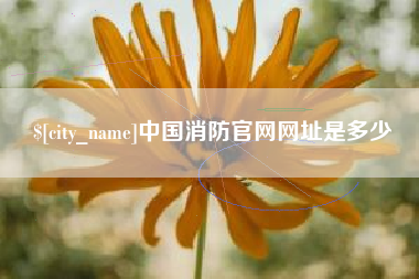 永安中国消防官网网址是多少