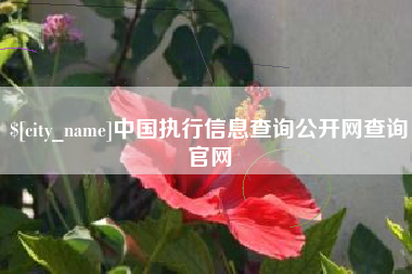 永安中国执行信息查询公开网查询官网