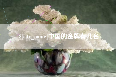 永安中国的金牌有几名