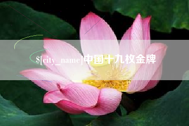 永安中国十九枚金牌