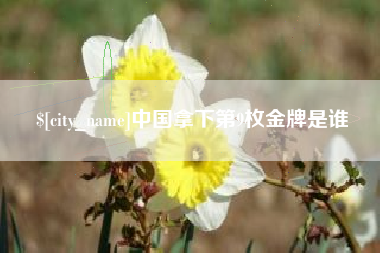 永安中国拿下第9枚金牌是谁