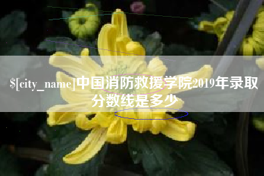 永安中国消防救援学院2019年录取分数线是多少