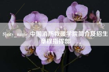 永安中国消防救援学院简介及招生章程指挥部
