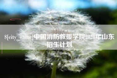 永安中国消防救援学院2021年山东招生计划