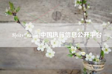 永安中国执行信息公开平台