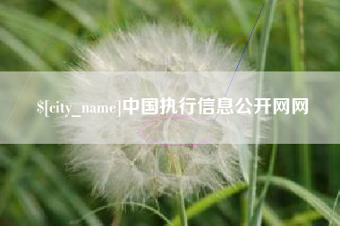 永安中国执行信息公开网网