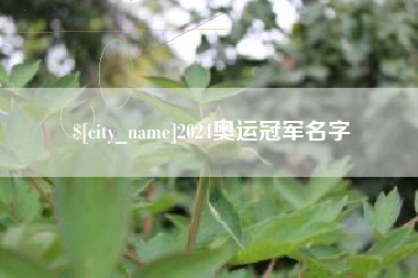 永安2024奥运冠军名字
