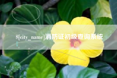 永安消防证初级查询系统