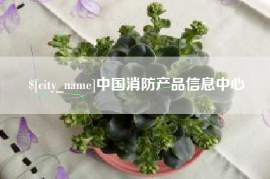 永安中国消防产品信息中心